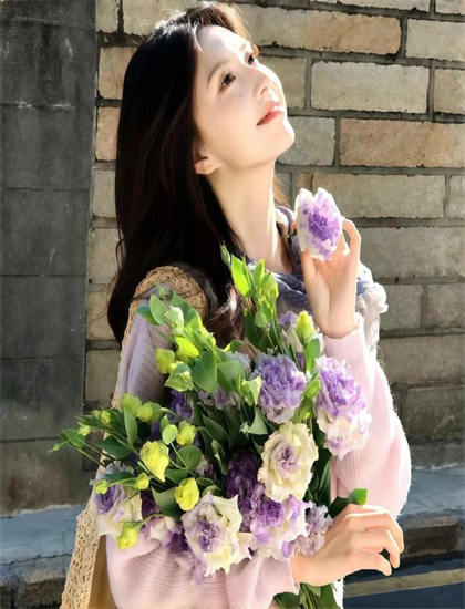 2026年度推荐《芭比与姐妹之赛马记2013》深度评测，卫视热播